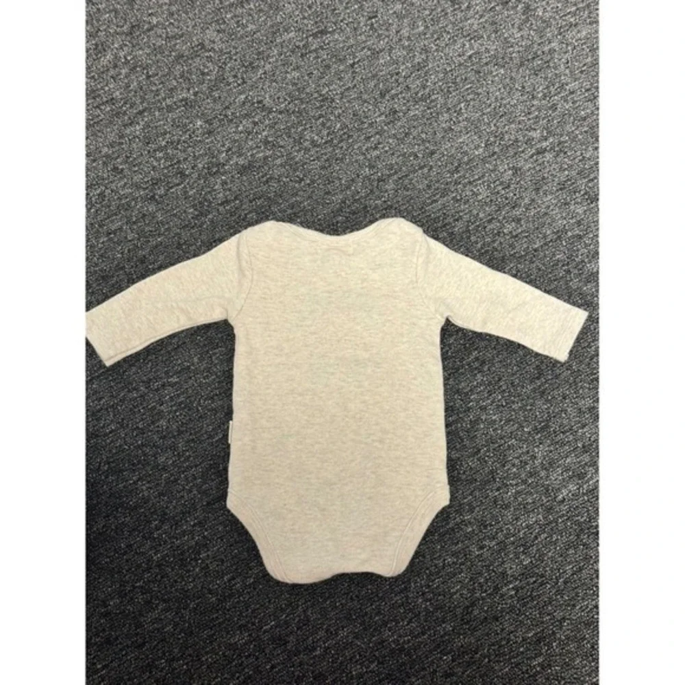 Rabbit Bear Baby Organic Cotton Set of 2 Bodysuits 0-3 Months Carrots Best Mommy